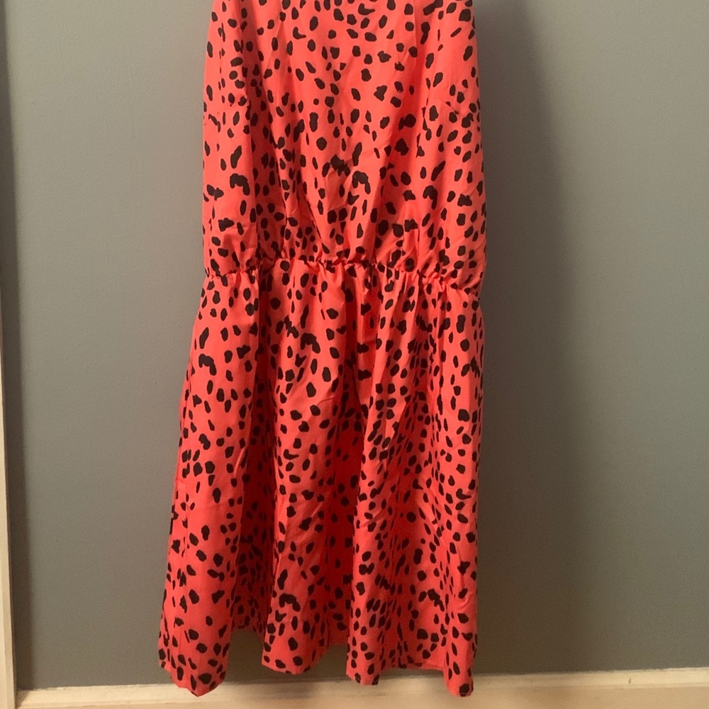 Polka-dots - Picture 2 of 2